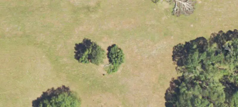 Church Facility on Acreage