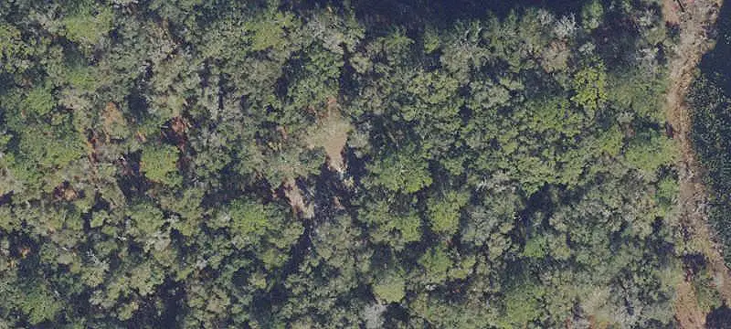 Vacant Land / Lots