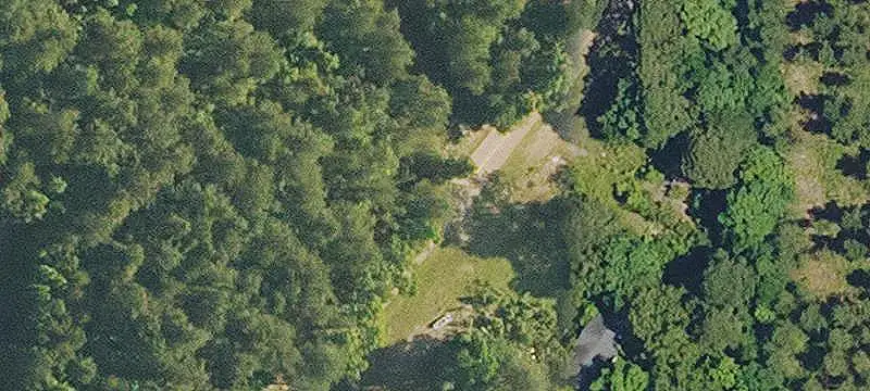 Timberland Hunting Property