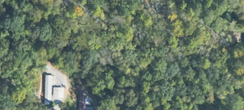 Wooded Land