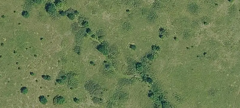 Farmland with Native Timber