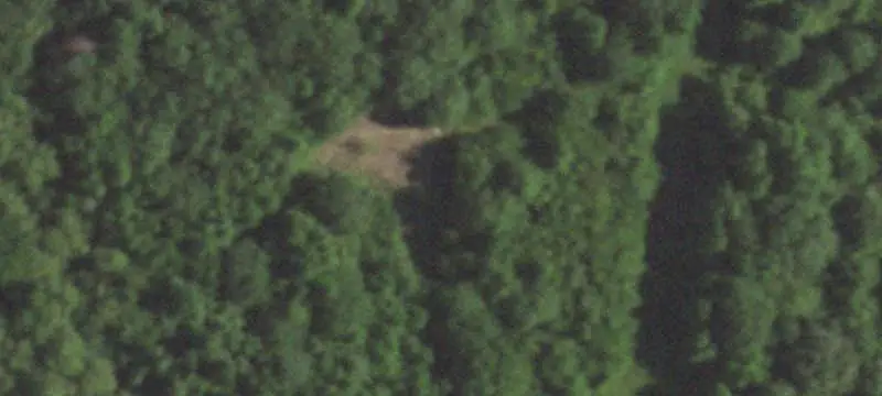 Rolling Land with Mature Trees