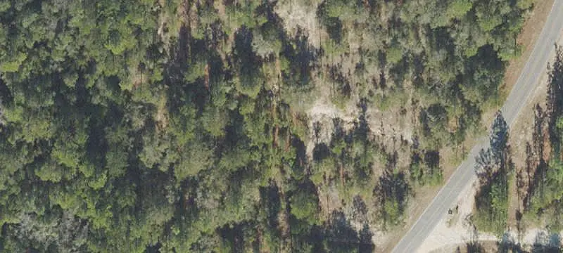 Wooded Land