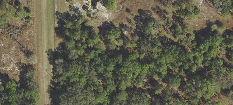 Unimproved Land