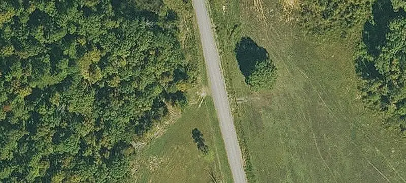 Agricultural Land with Orchard