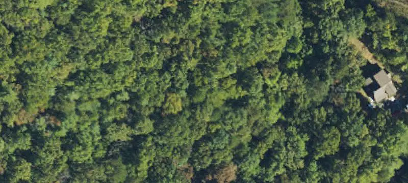 Land/Lot