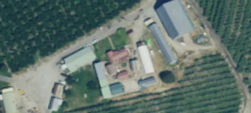 Apple Orchard Farm