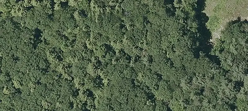 Two-Acre Commercial Land