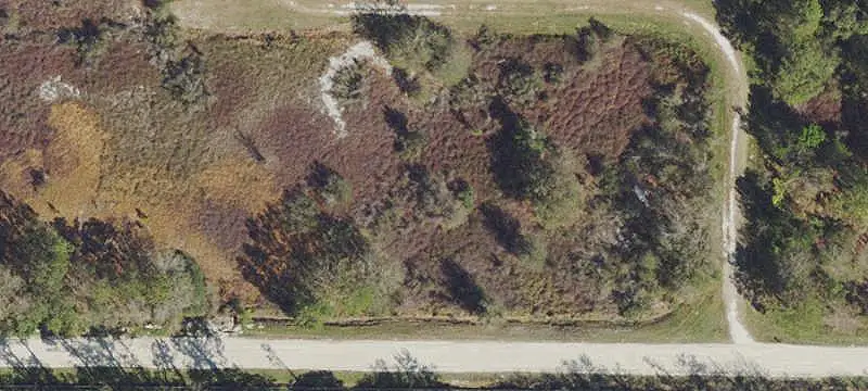 Partially Cleared Land