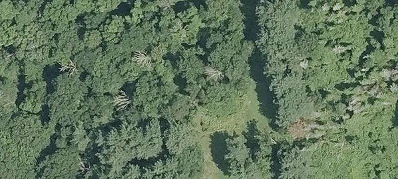 Lot & Land