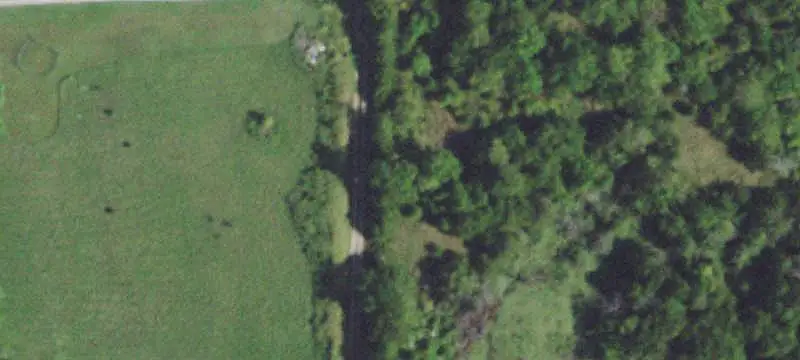 Hunting Land with Cabin