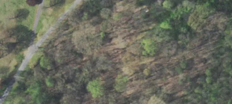 Wooded Land Parcel