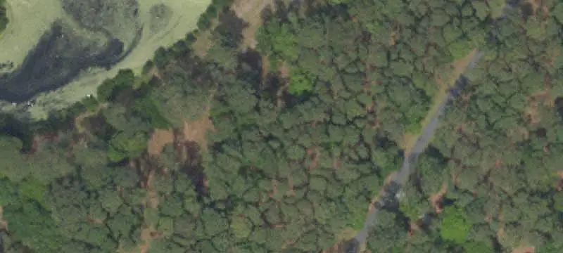 Land
