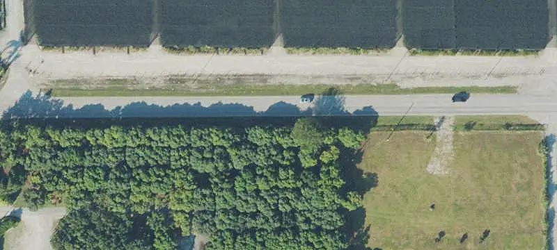 Five-Acre Avocado Farm