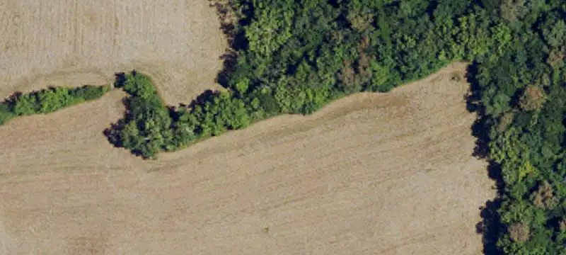 Land/Lot