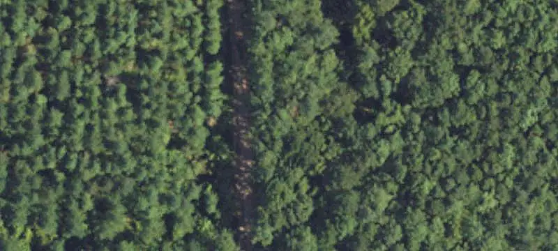 Hunting Land with Timber