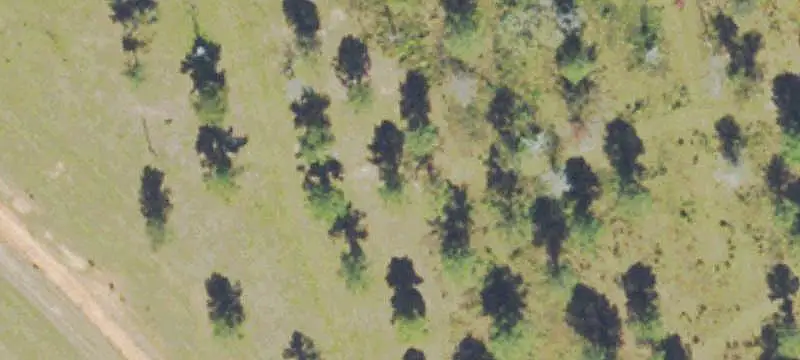 Hunting Land with Lodge