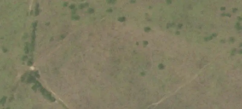 Hunting Land with Cabin