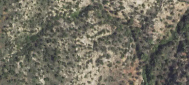 Cultivated Farmland