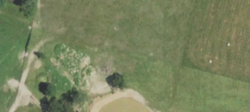 Cattle Farm with Barndominium
