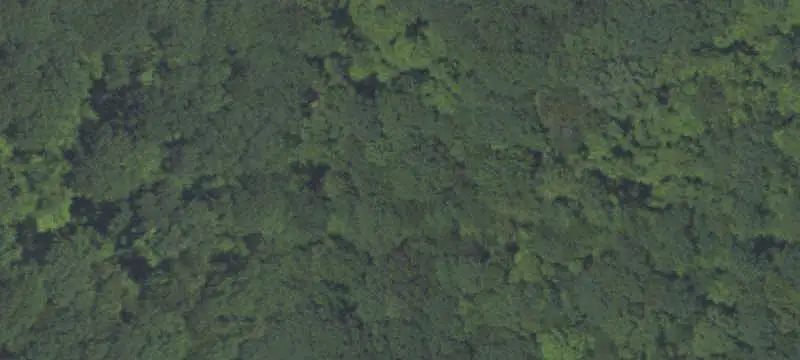Unimproved Land