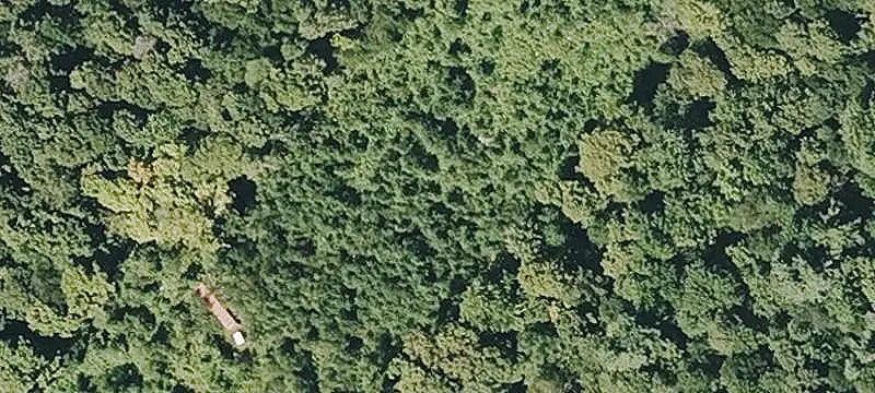 Wooded Land Parcel