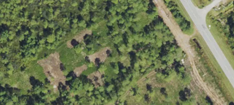 Wooded Commercial Land