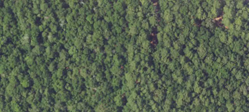 Vacant Land / Lots
