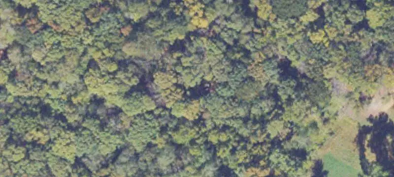 Unimproved Land