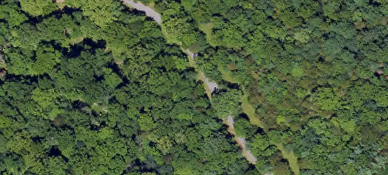 Wooded Recreational Land