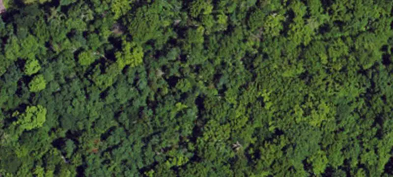 Hunting Land with Barndominium
