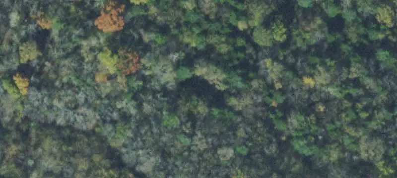 Land or Vacant Lot