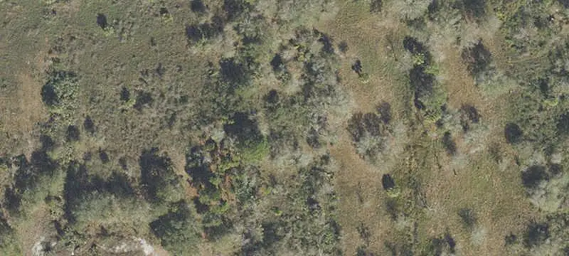 Commercial Land