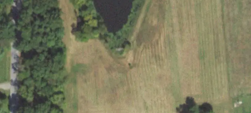 Ridge-Top Hunting Land