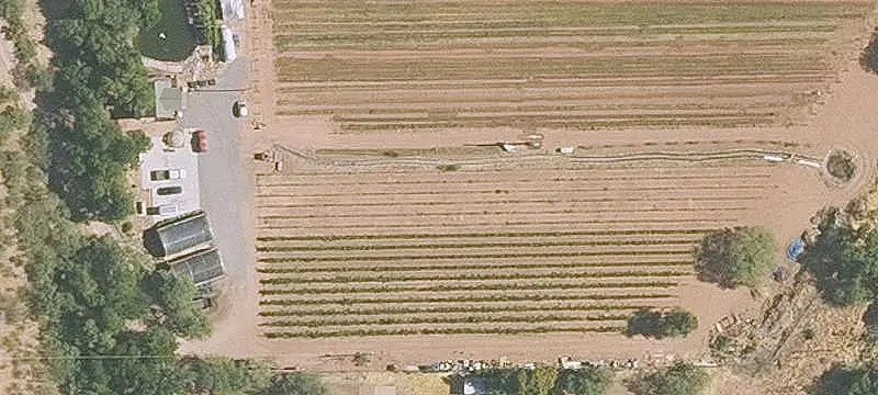 Grapevine Farm with Greenhouses