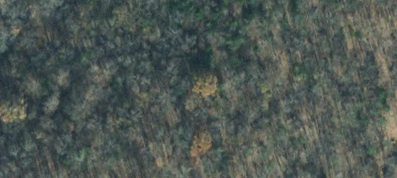 Land