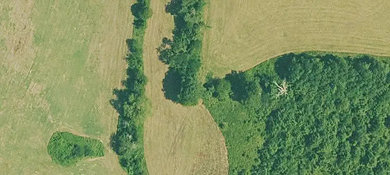 Unimproved Land
