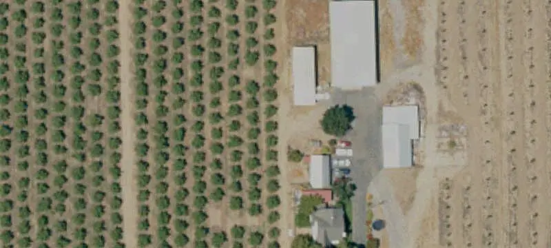 Agricultural Land with Orchard