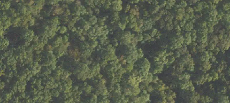 Commercial Land
