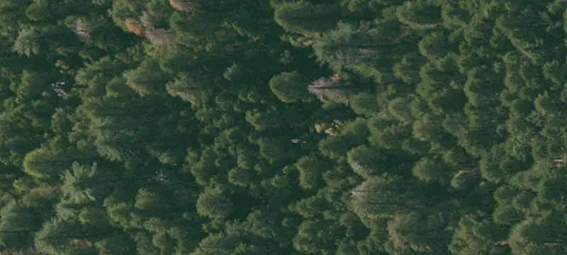 Mountain and Creek Land