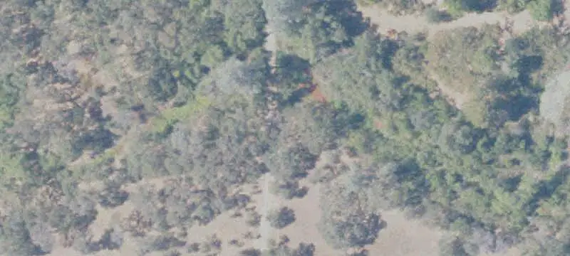 Pastureland with Mature Trees