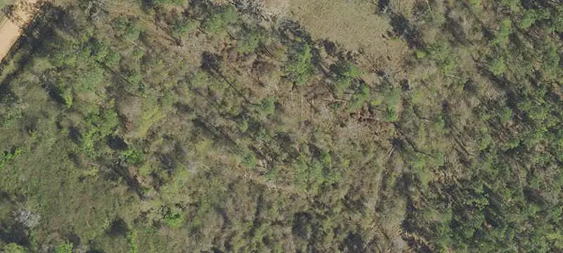 Cleared Farmland Homesite
