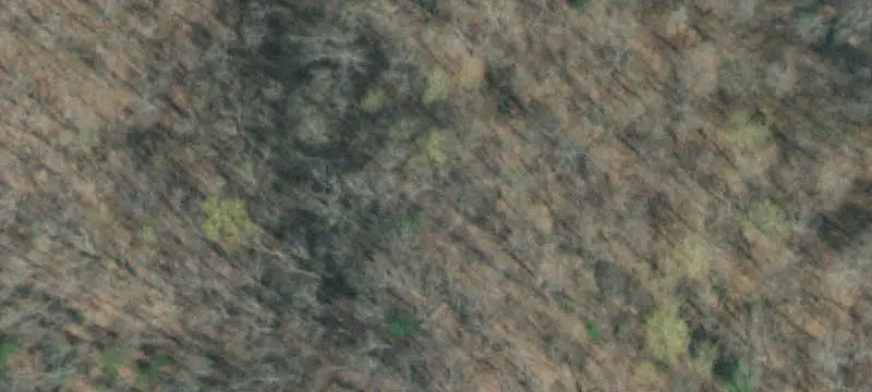 Wooded Recreational Land