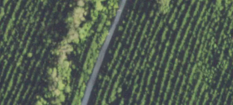 Land
