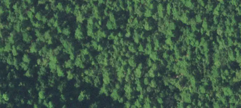 Vacant Land