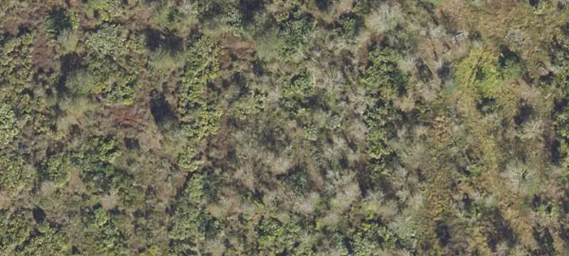 Land