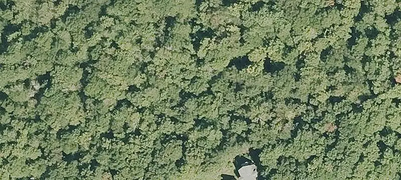 Land/Lot