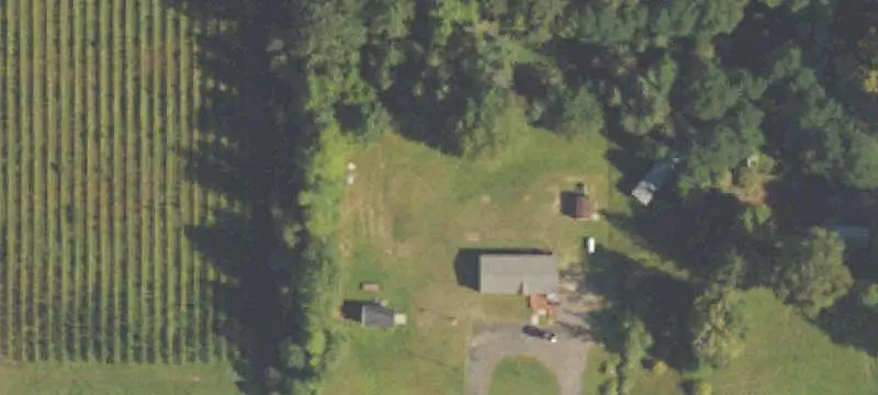 Blueberry Farmland
