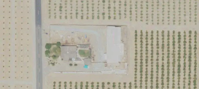 Citrus Farm with Drip Irrigation