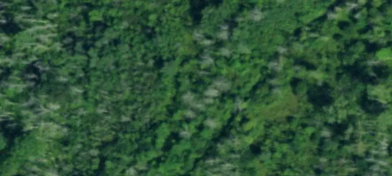 Vacant Land / Lots
